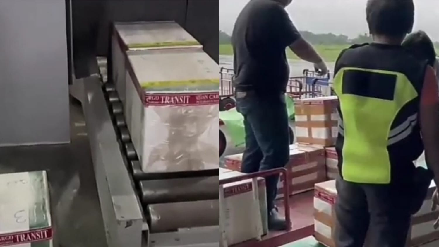 15 Kali Ekspor, Berau Kirim Ribuan Kilogram Hasil Laut ke Luar Negeri