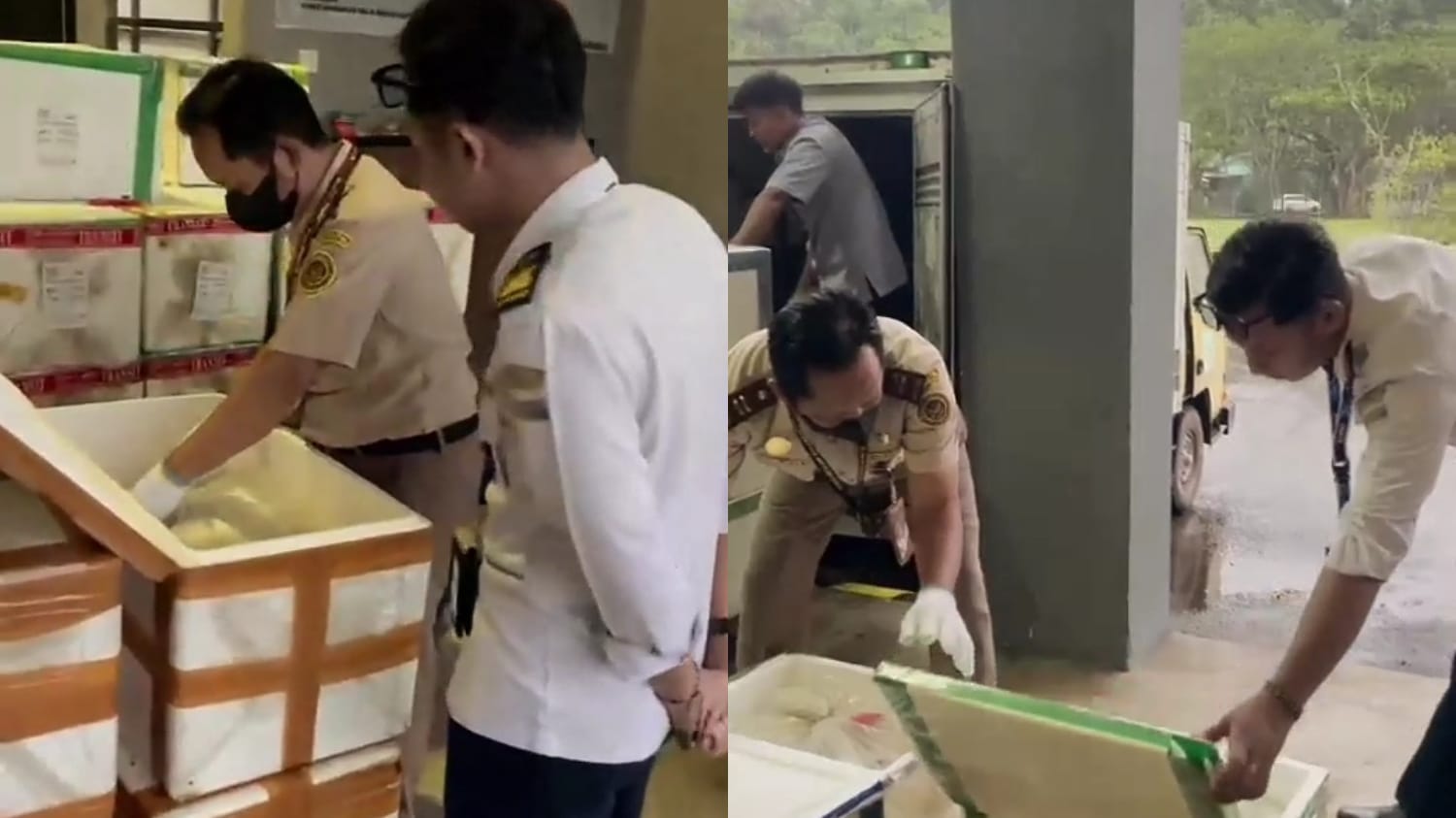 Ekspor Hasil Laut Berau Capai Rekor Baru, Udang Jadi Primadona