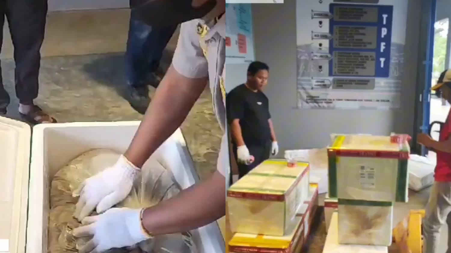 Bandara Kalimarau Berau Kembali Kirim Komoditas Laut ke Luar Negeri, Ekspor ke-26 Dicatatkan