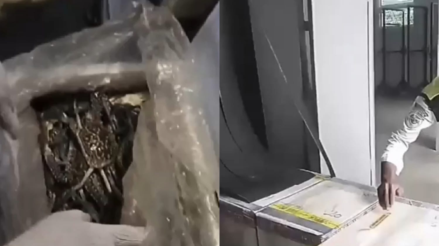 Kali ke-29, Kalimarau Lepas 513 Kg Hasil Laut ke Kuala Lumpur dan Singapura