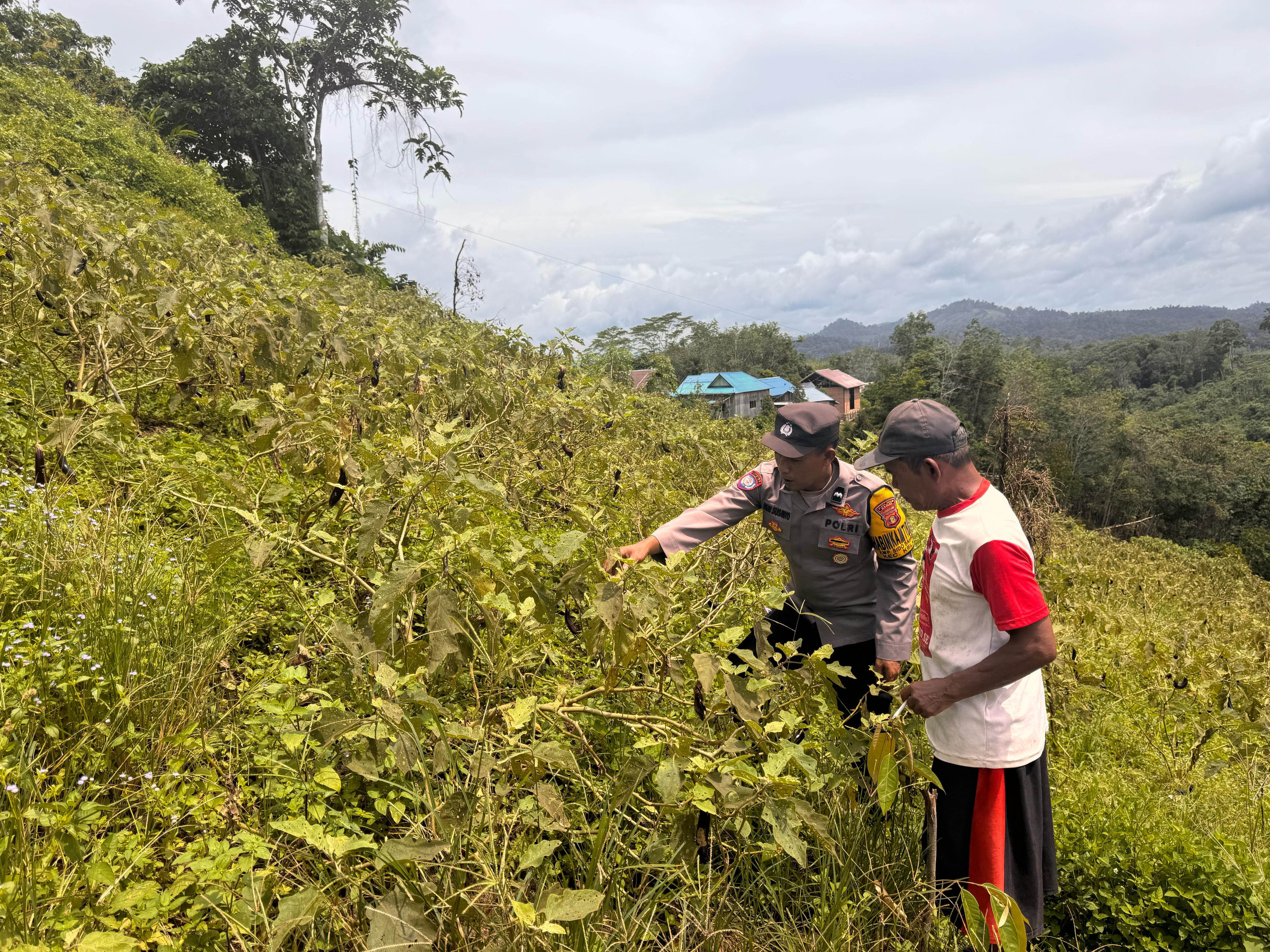 Bhabinkamtibmas Sido Bangen Garda Terdepan Ketahanan Pangan, Wujudkan Asta Cita Presiden