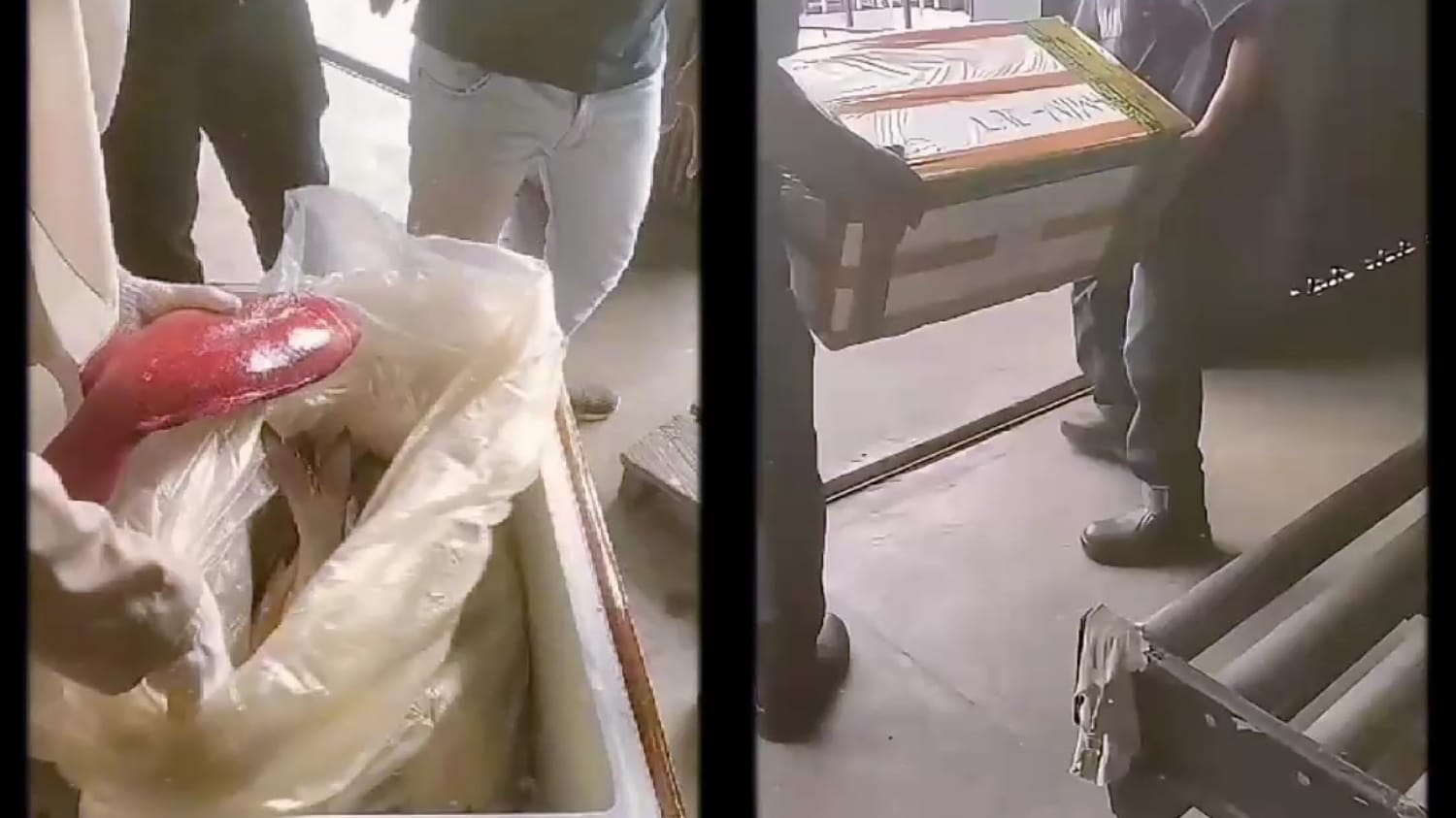 Ekspor Komoditas Laut Berau Terus Melambung: Kuala Lumpur dan Singapura Jadi Pasar Utama