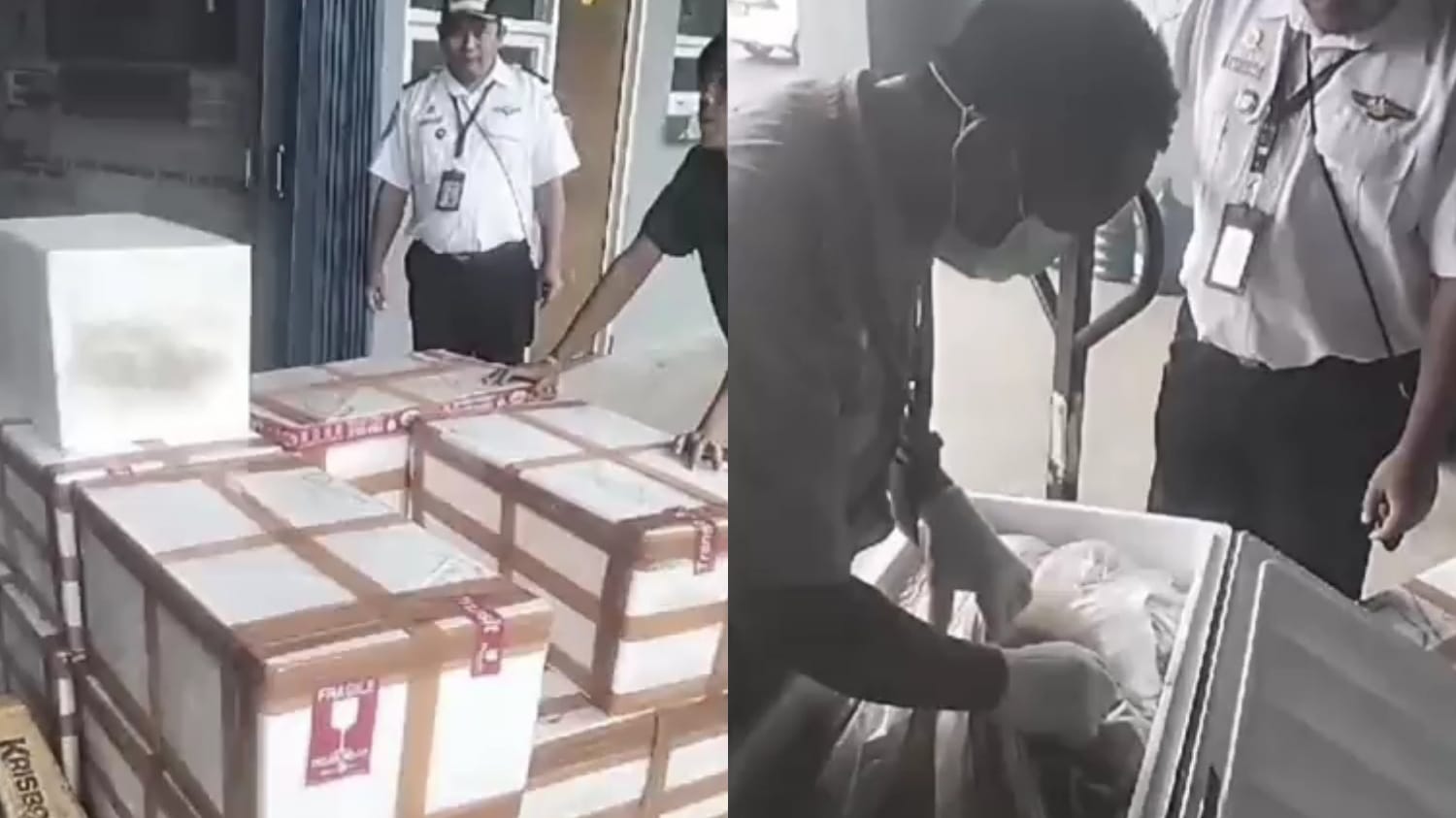 Bandara Kalimarau Pacu Ekspor Komoditas Laut Berau, Catatkan Rekor Pengiriman ke-37