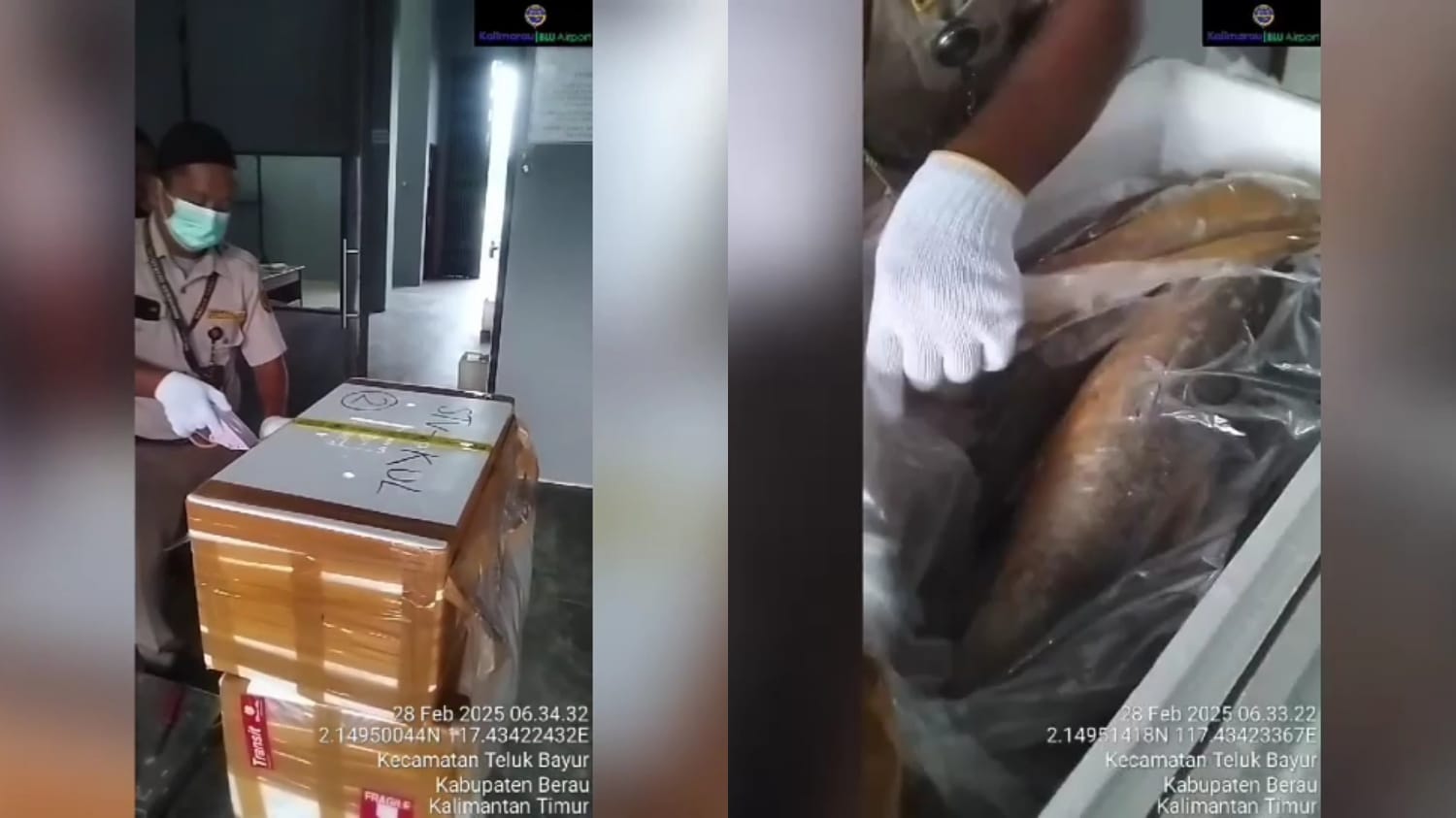 Bandara Kalimarau Pacu Ekspor Komoditas Laut Berau, Kuala Lumpur dan Singapura Jadi Tujuan Utama