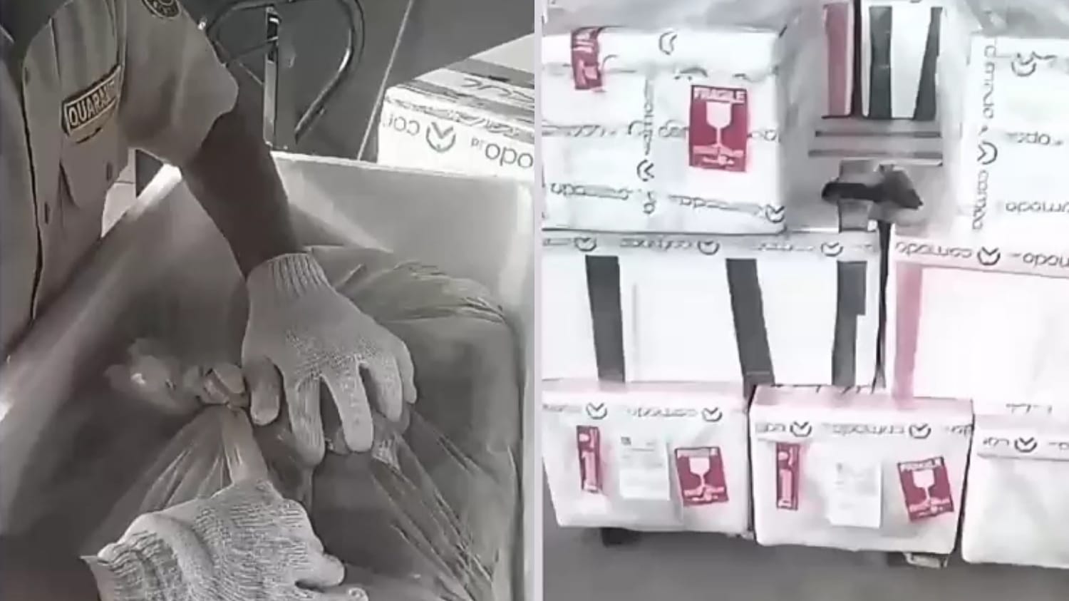 Bandara Kalimarau Catat Rekor Pertumbuhan Ekspor Kargo Hasil Laut: Pengiriman ke-40 Menuju Kuala Lumpur