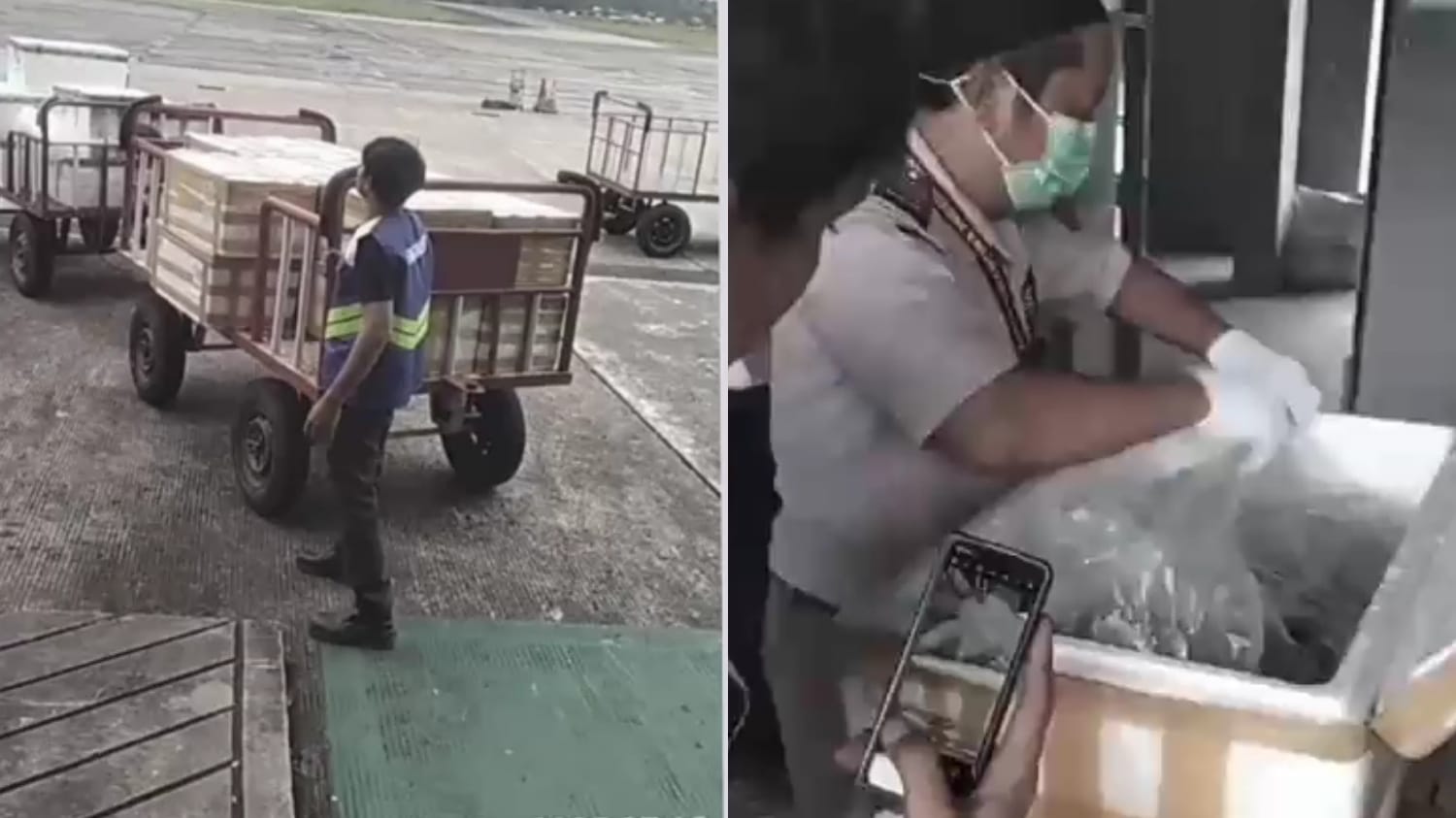 Bandara Kalimarau Catat Rekor Ekspor ke-51, Komoditas Laut Berau Semakin Mendunia