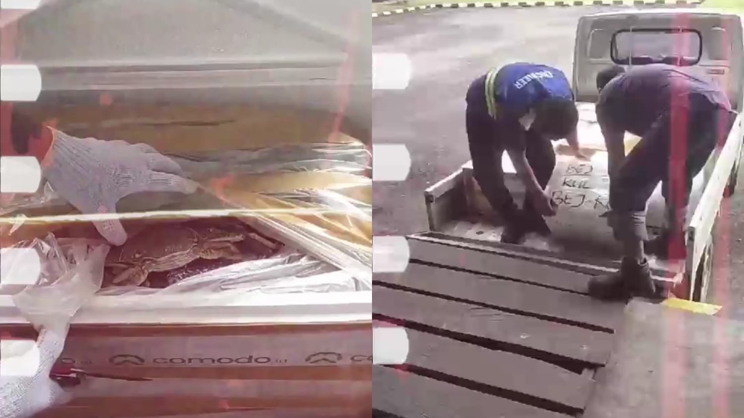 Bandara Kalimarau Pacu Ekspor Hasil Laut Berau, Kuala Lumpur Jadi Destinasi Utama