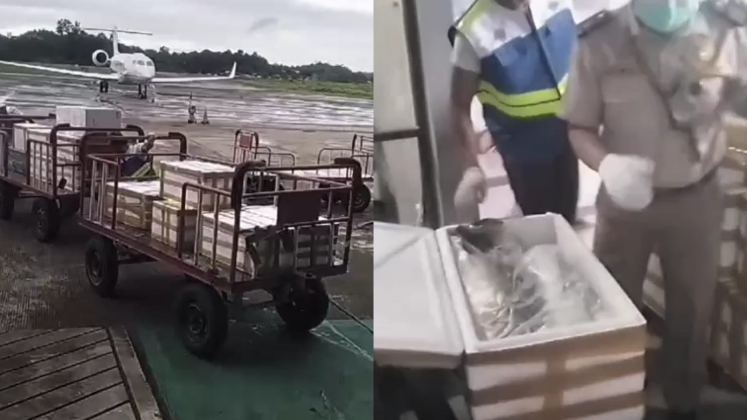 Bandara Kalimarau Pacu Ekspor Komoditas Laut Berau, Tembus Pengiriman ke-47