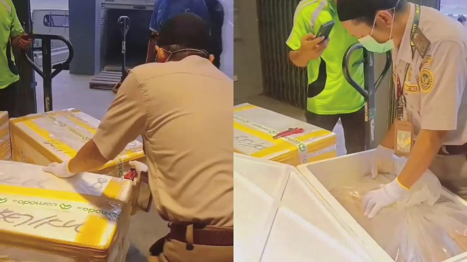 Bandara Kalimarau Sebagai Gerbang Ekspor Maritim Berau, Catatkan Rekor Pengiriman ke-45