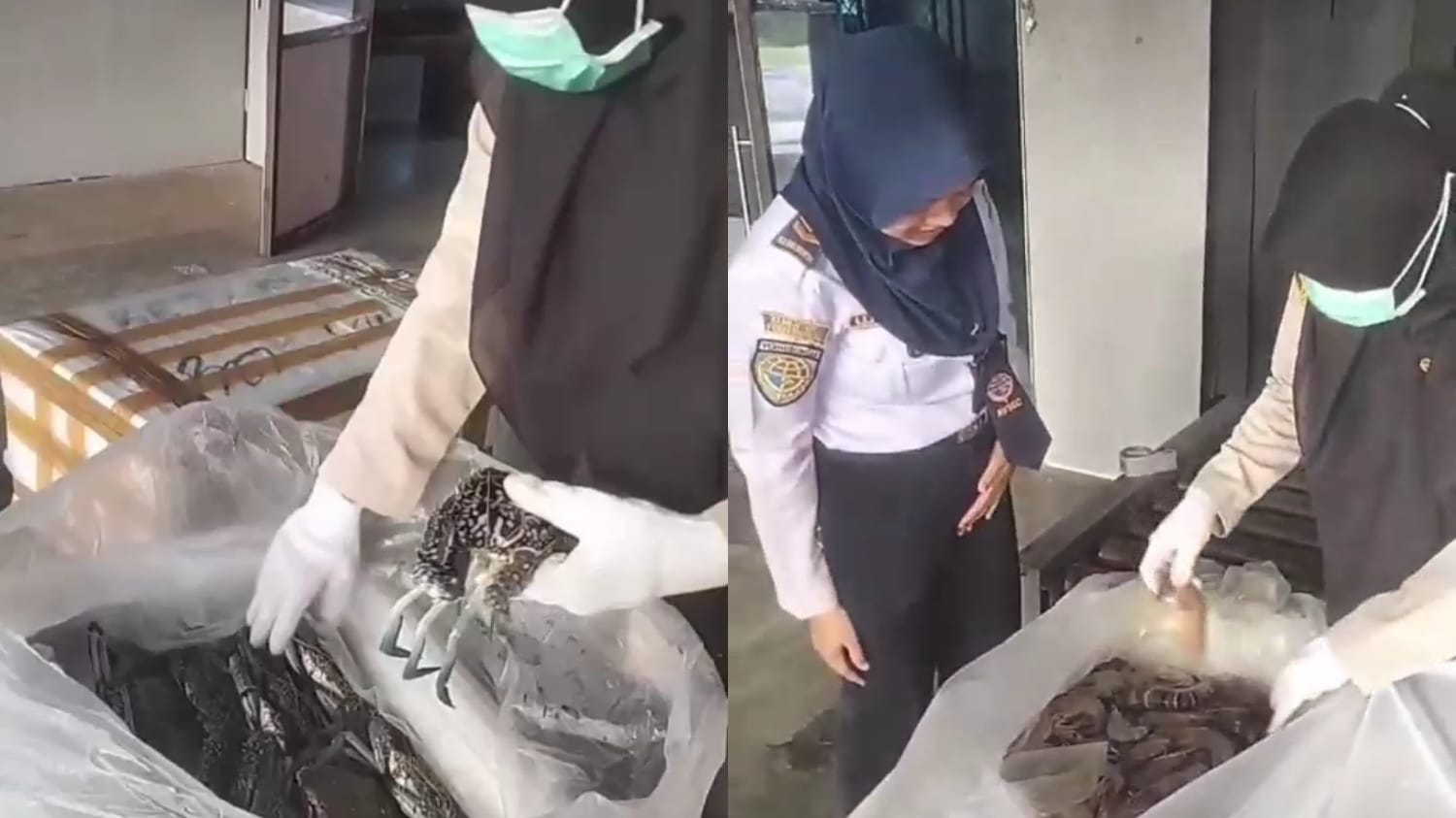 Berau Pacu Deras Arus Komoditas Bahari ke Mancanegara