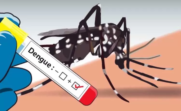 Kasus DBD Di Berau Menurun, Dinkes Tetap Maksimalkan Kewaspadaan Penyakit Menular Lainnya