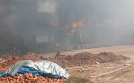 Kobaran Api di Segah Hanguskan Sekolah dan Bangunan Lain