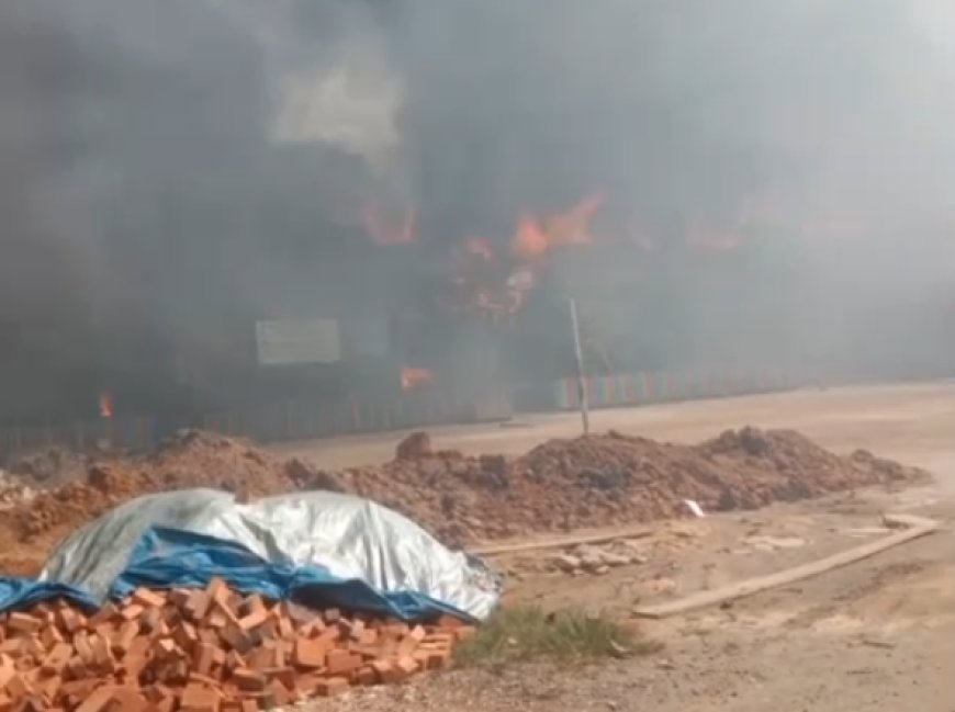 Kobaran Api di Segah Hanguskan Sekolah dan Bangunan Lain