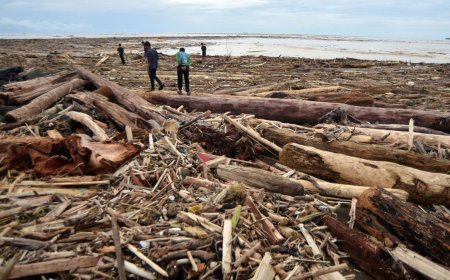 Banjir di Sumatra Mulai Surut, Pemerintah Percepat Evakuasi Kayu Gelondongan dan Distribusi Bantuan