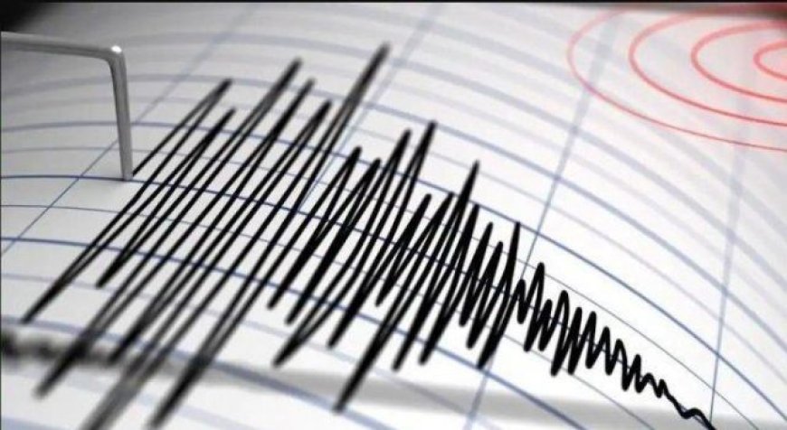 Gempa Bumi M 4,4 Guncang Tarakan, Getaran Dirasakan Hingga Berau dan Nunukan