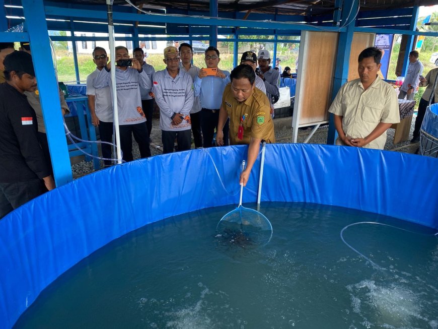 Peresmian Budidaya Ikan Tawar di Biatan Ilir, Dorong Ketahanan Pangan Ekonomi Masyarakat