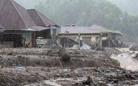 Menteri LH Ungkap Temuan Awal Kayu Gelondongan di Sungai Tapanuli, Empat Perusahaan Disetop Sementara