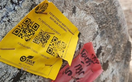 Ribuan Kayu Gelondongan Berlabel Kemenhut Terdampar di Pantai Tanjung Setia, Polda Lampung Dalami Dugaan Pelanggaran