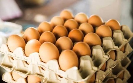 Pasokan Telur Ayam Nasional Dipastikan Aman hingga Lebaran 2026