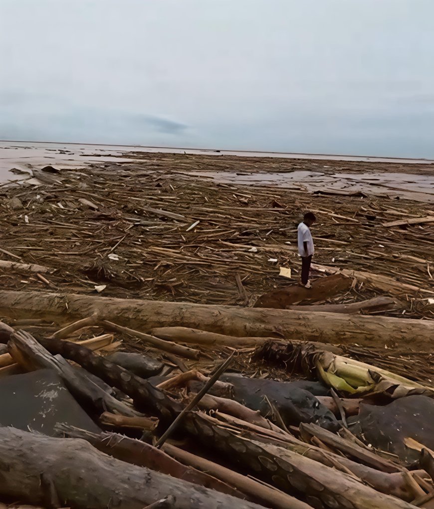 Kayu Gelondongan Hanyut di Sumatra Picu Polemik, Kemendagri Desak Investigasi Menyeluruh