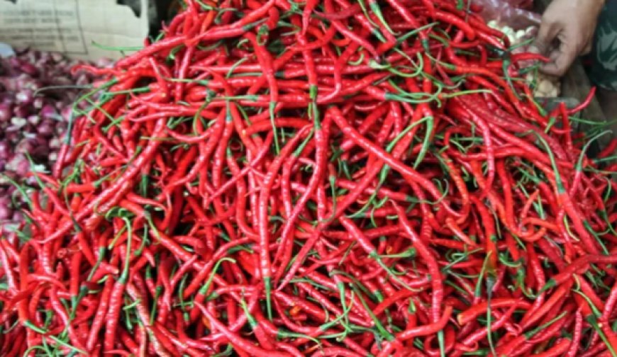 Harga Cabai Rawit Merah Tembus Rp65.400/Kg, Telur Ayam Ras Ikut Naik di Awal Desember