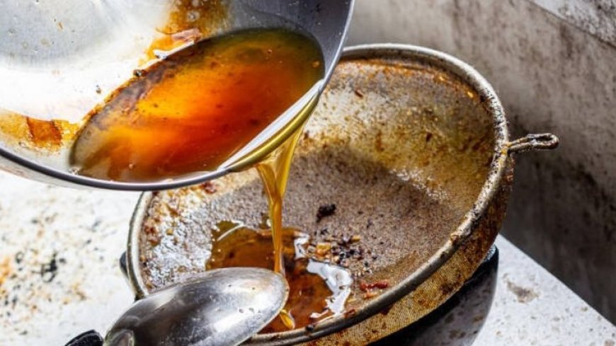 Beda Gaya, Satu Tujuan: Jepang Pastikan Minyak Jelantah Aman Dibuang, Indonesia Ubah Jadi Biodiesel