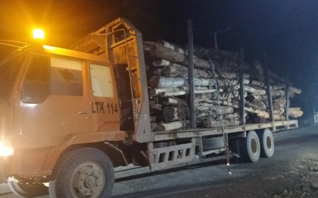 Aktivitas Angkutan Truk Kayu di Malam Hari Resahkan Warga Kecamatan Tabalar, Berau