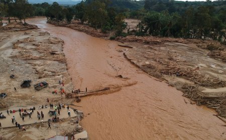 KLH Ajukan Gugatan Rp4,8 Triliun terhadap Enam Perusahaan di Sumatera Utara Terkait Kerusakan Lingkungan