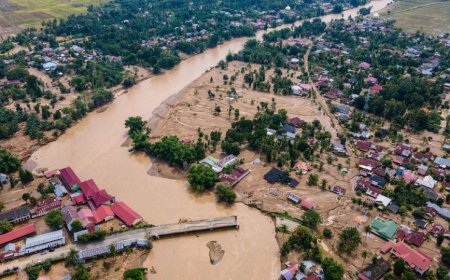 Ini Daftar 28 Perusahaan yang Izinnya Dicabut Presiden Prabowo, Imbas Banjir Sumatera