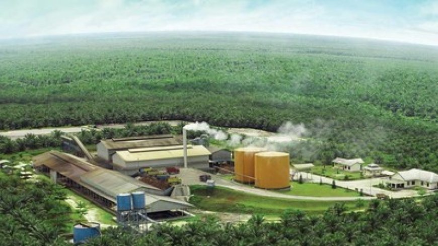 Menkeu Purbaya Sadewa Ungkap 10 Perusahaan Sawit Diduga Lakukan Under Invoicing