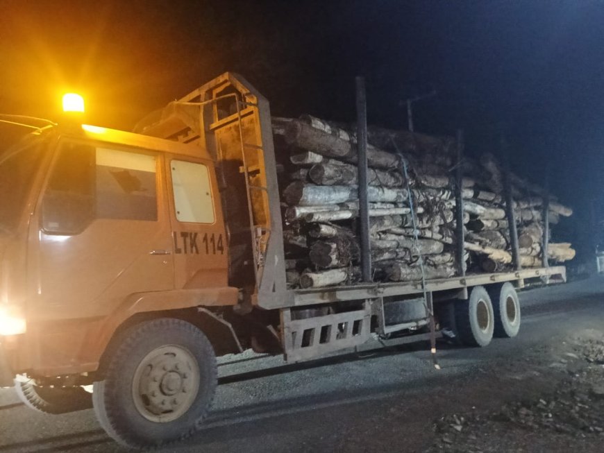 Aktivitas Angkutan Truk Kayu di Malam Hari Resahkan Warga Kecamatan Tabalar, Berau