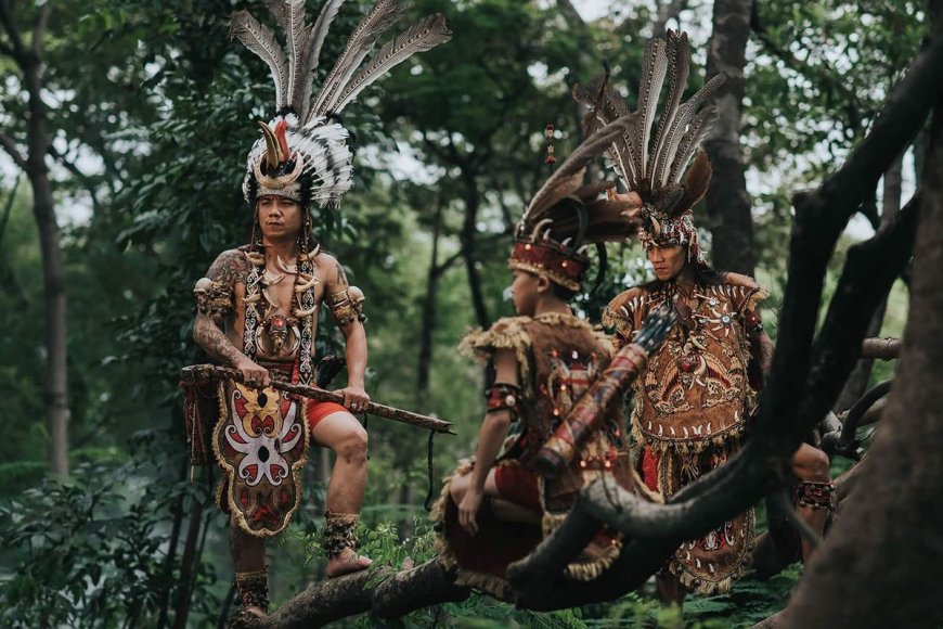 Menelusuri Jejak Budaya Suku Dayak, Penjaga Rimba di Jantung Kalimantan