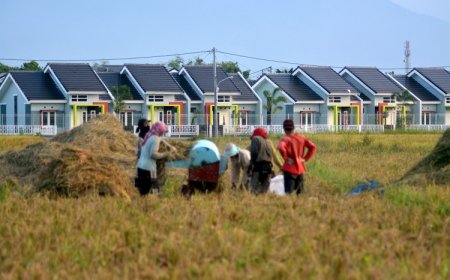 Alih Fungsi Lahan Sawah Capai 554 Ribu Hektare, ATR Perketat Aturan Tata Ruang