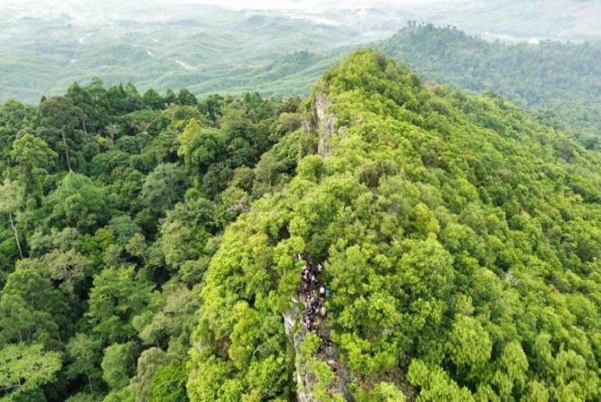 Otorita IKN Klaim Pembangunan Tetap Prioritaskan Koridor Satwa dan Restorasi Hutan Endemik