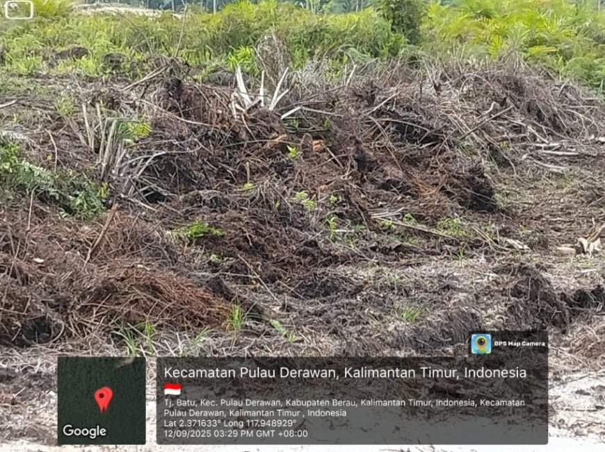 Tanpa Sosialisasi, PT KCW Diduga Gusur Lahan Milik Warga di Kampung Tanjung Batu