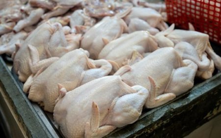 BPS: Lonjakan Harga Daging Ayam Ras dan Cabai Rawit Picu Kenaikan IPH Jelang Ramadan
