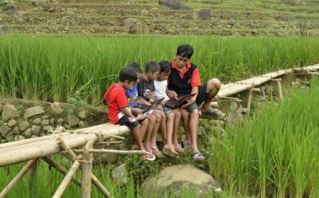 Diskominfo Kaltim Targetkan Seluruh Desa Terkoneksi Internet pada Semester I 2026