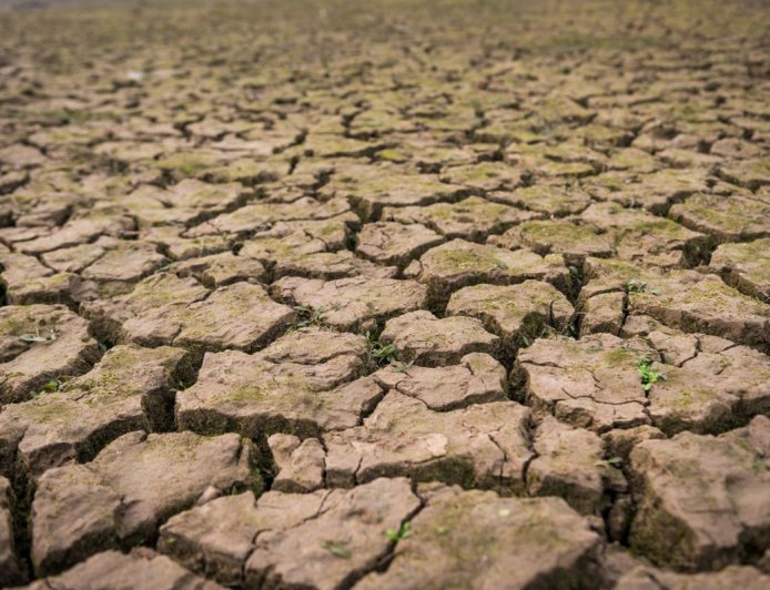 BMKG Prediksi Kemarau 2026 Datang Lebih Cepat di Sejumlah Daerah, Ini Daftar Wilayahnya